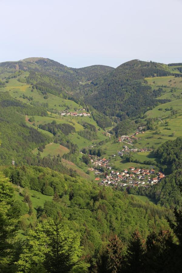 Hotel Kirchbuehl Im Schwarzwald Hotel Schönau im Schwarzwald Dış mekan fotoğraf